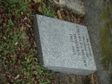 image of grave number 523941